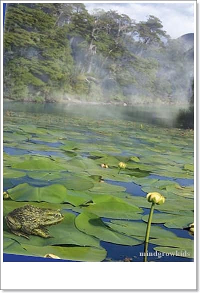 It is thought that 40 million years ago, Antarctica had a climate similar to the Andes, just like in this picture.