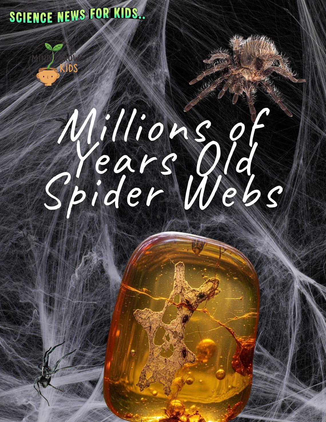 Research on spider webs millions of years old.