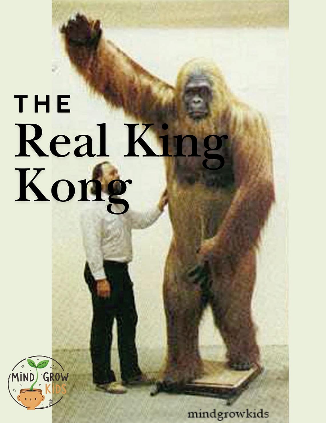 King kong
