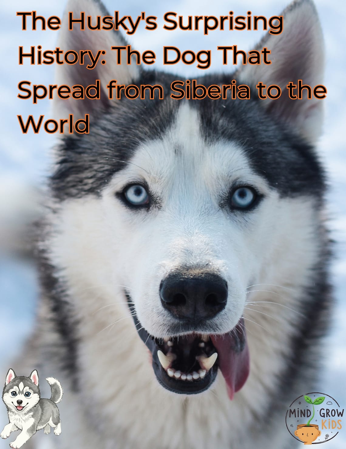 The Husky's Surprising History