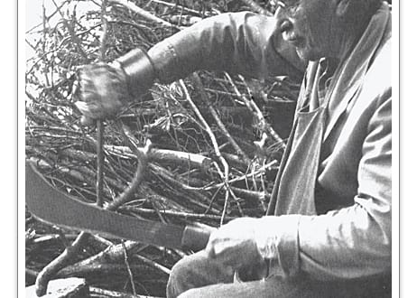 Carl Gustav Jung, One of the Founders of Modern Psychology