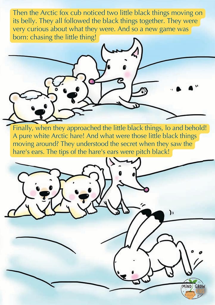 Then the Arctic fox cub