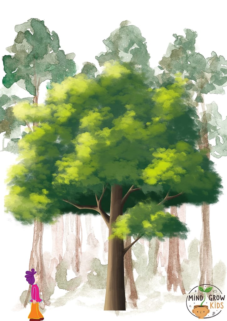 Different tree species have adapted to different environments. 