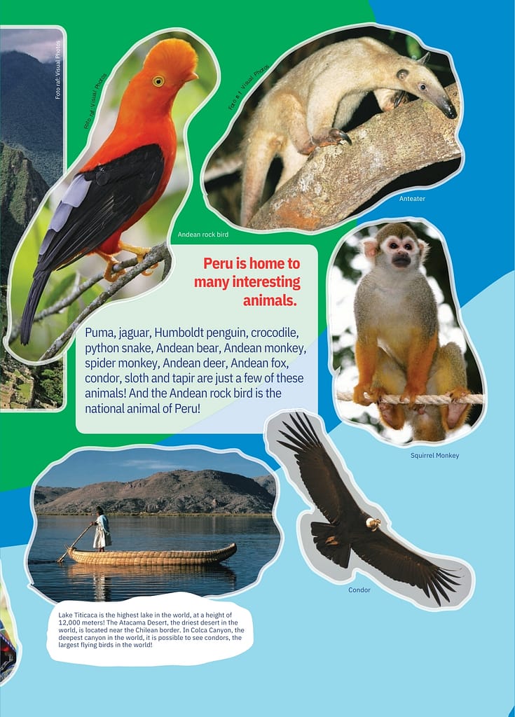 Peru is home to many fascinating animals. 