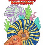 Prehistoric Adventures