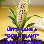 Let's make a "Corn Plant" from Popcorn