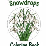 The snowdrops