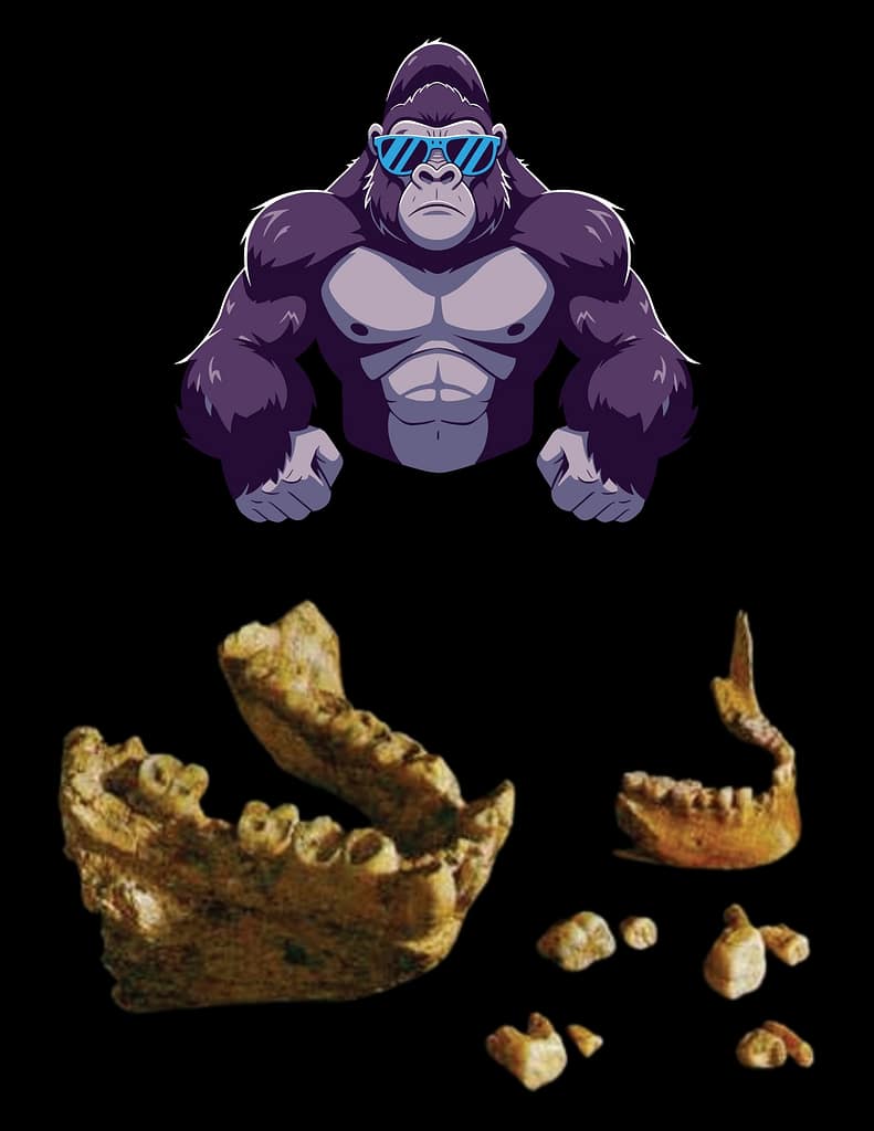 According to researchers, during the Pleistocene period, 2.3 million years ago, Southern China and Northern Vietnam were home to large flying creatures