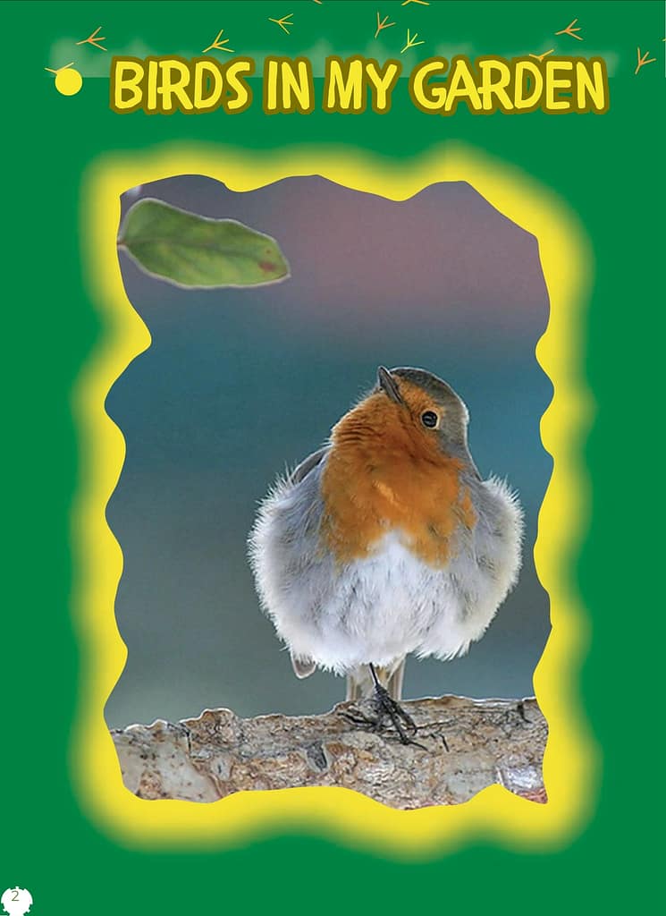 Birds in My Garden: Birds Living in the City