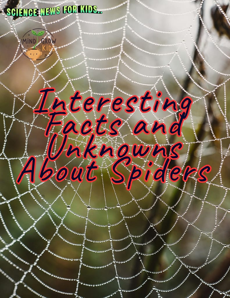 Interesting Facts and Unknowns About Spiders