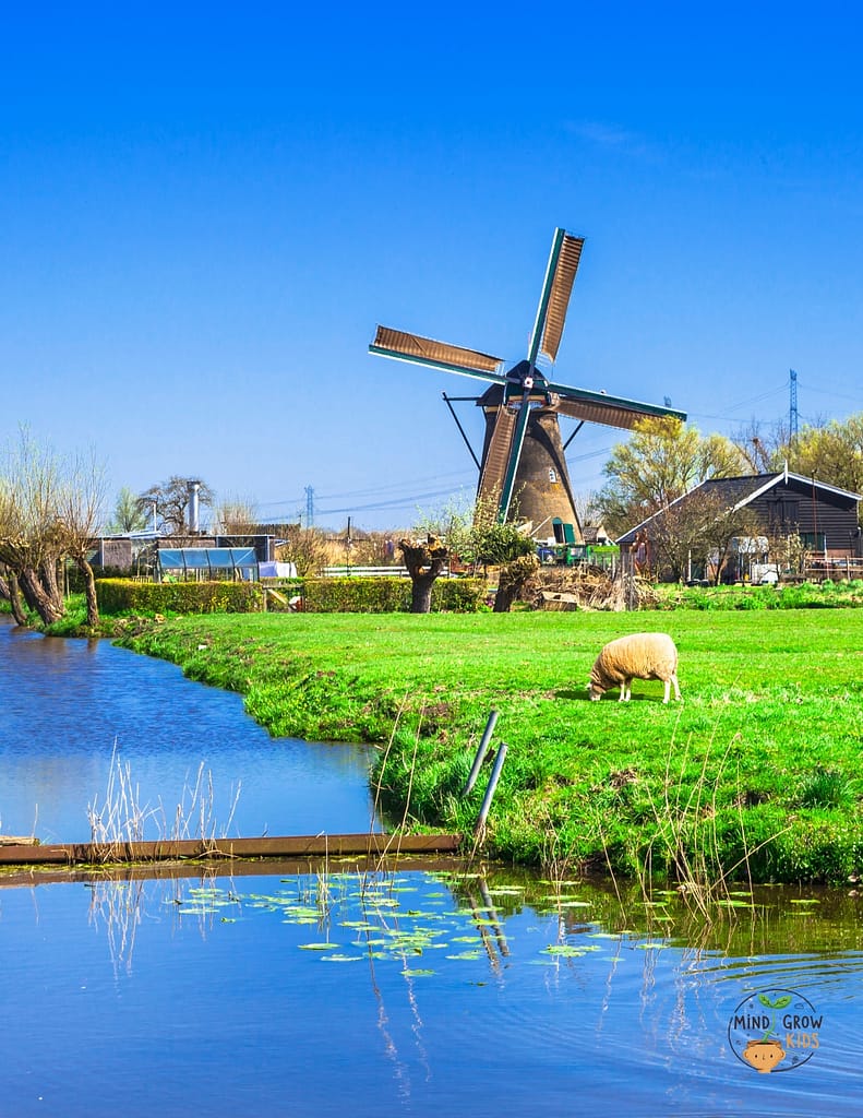 The area with the most windmills in the Netherlands is near a village called Kinderdijk. These windmills discharge water from the Alblasserwaard region, which is below sea level, into the Lek River.